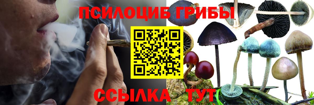 Богородск  Псилоцибиновые грибы GOLDEN TEACHER  Вход с VPN  Псилоцибиновые грибы мицелий 